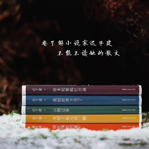 迟子建散文典藏 商品图3