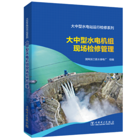 大中型水电站运行检修系列 大中型水电机组现场检修管理