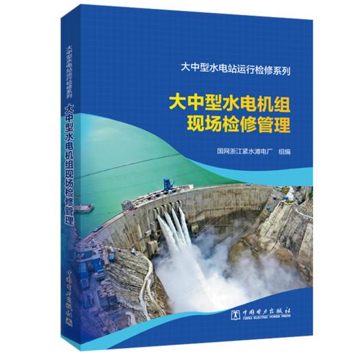 大中型水电站运行检修系列 大中型水电机组现场检修管理 商品图0