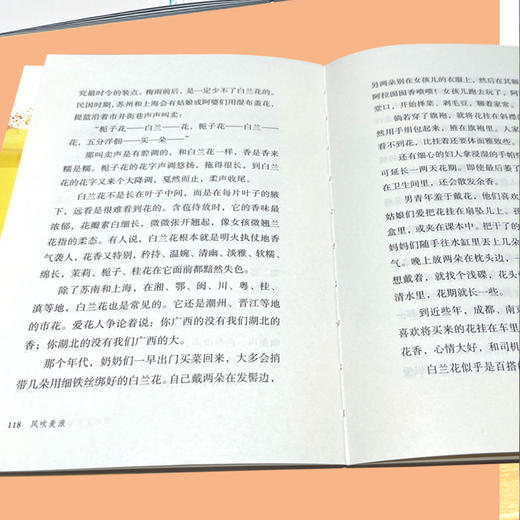 《风吹麦浪》散文集，由20篇散文组成，金黄的麦田，卖水的阿婆，编席打鱼的运河人家，远去的亲人，治愈了整个童年的胭脂花，让人穿越过往，一行行文字像清澈的运河流水，意境虚实得兼，如梦如幻，缱绻了读者的心田 商品图3