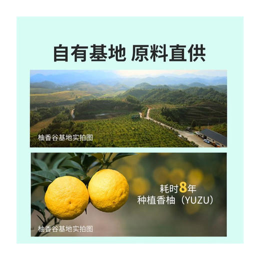 柚香谷双柚乳酸菌味饮料300ml 商品图5