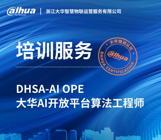 DHSA-AI OPE大华AI开放平台算法工程师培训服务 商品图0
