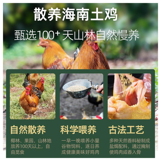 【买一送一】海南椰肉盐焗鸡700g/只*2 京东/顺丰包邮 FX-A-2393 商品图2