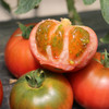 【包邮】农家水果番茄  西红柿味浓  汁多皮脆  口感酸甜  水果西红柿  3斤 商品缩略图1