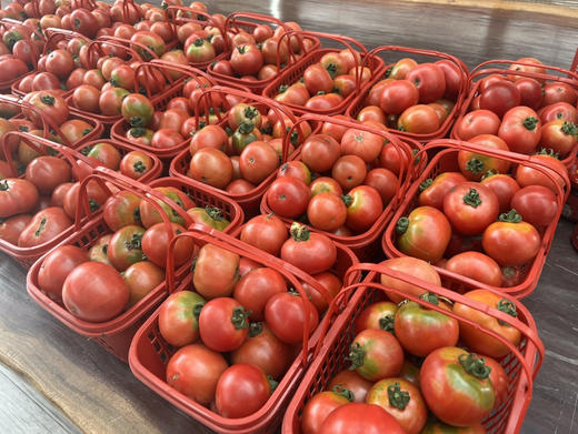 阿林丑番茄 商品图1