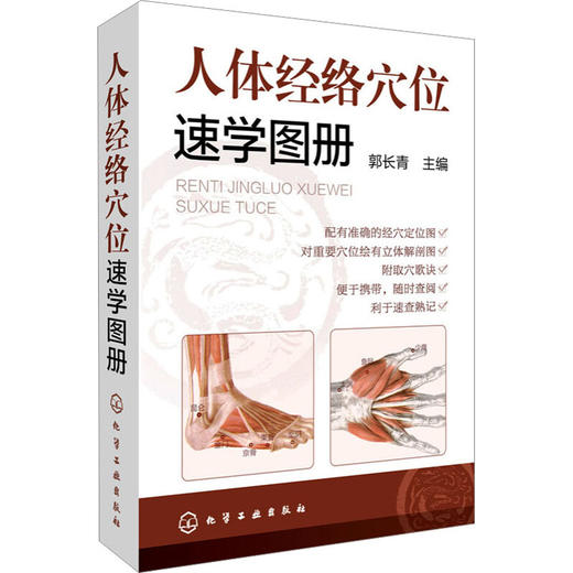 人体经络穴位速学图册 商品图0