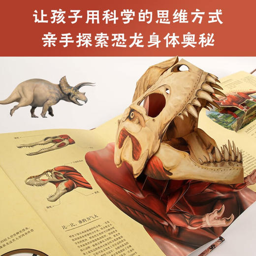 如何复活一只恐龙 科普立体书 5-12岁 王俊卿等 著 科普百科 商品图2
