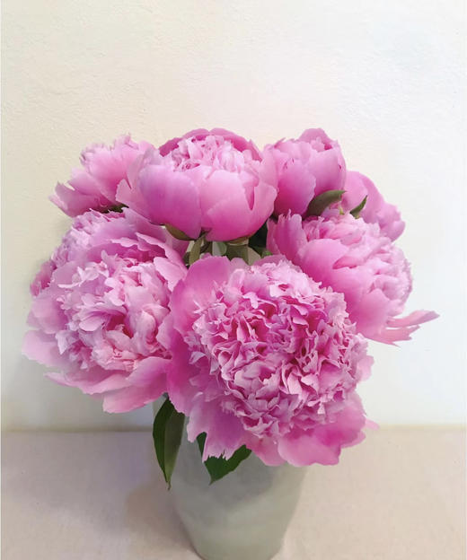 【爱你如初】芍药 - 蓝富士 桃粉色 10枝/扎 商品图2