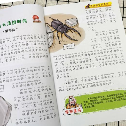 少年读百科 全8册/9787547740910 商品图4