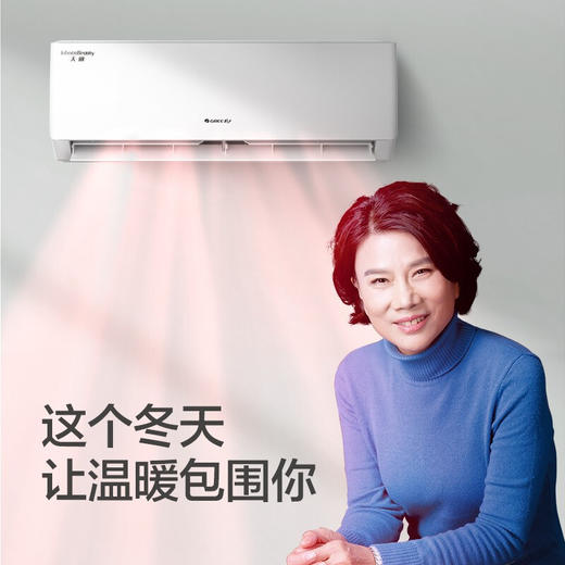 【拍定金享绿色节能补贴 云闪付到手价2699元】格力天丽变频一级能效 高温自清洁 家用除湿卧室节能省电挂壁空调 大1.5匹 商品图1