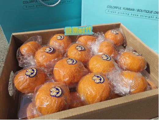 茂谷柑一箱（拼团） 商品图3