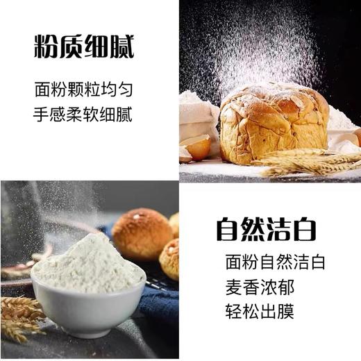 日本日清山茶花高筋面粉1斤分装 商品图2