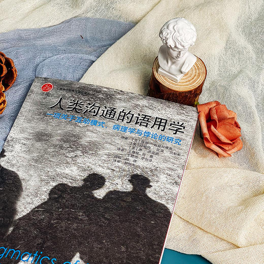 人类沟通的语用学 一项关于互动模式 病理学与悖论的研究 家庭治疗领域经典 商品图6