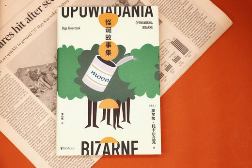 怪诞故事集     奥尔加·托卡尔丘克 商品图7