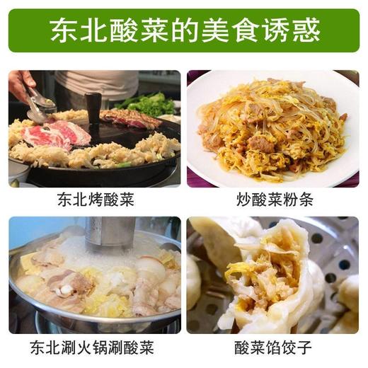 【350g*3袋】舌尖3黑龙江大学凌老师酸菜切丝东北酸菜特产干净 商品图3