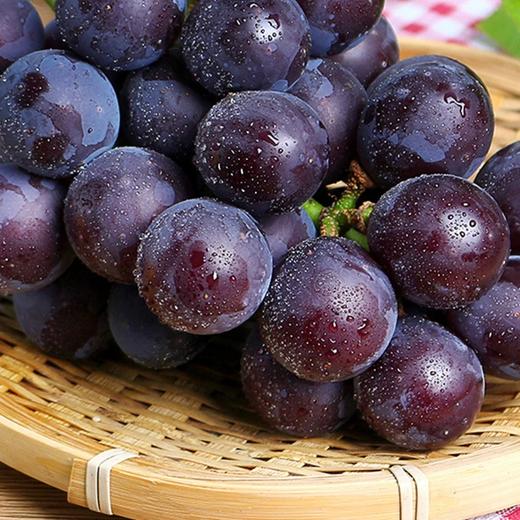巨峰葡萄（3.8斤） 商品图2