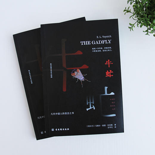 牛虻 商品图4