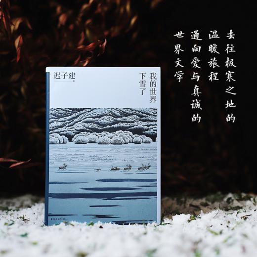迟子建散文典藏 商品图7