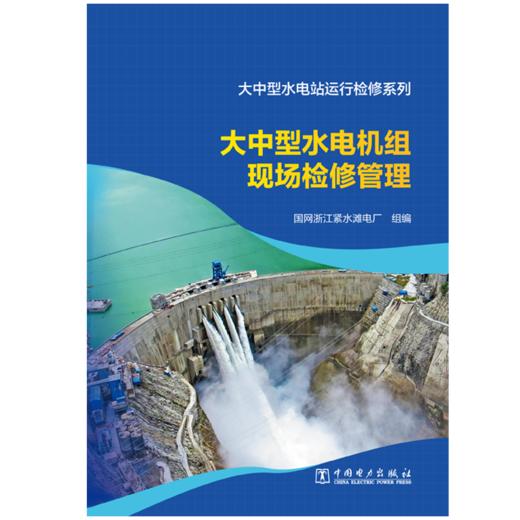 大中型水电站运行检修系列 大中型水电机组现场检修管理 商品图1