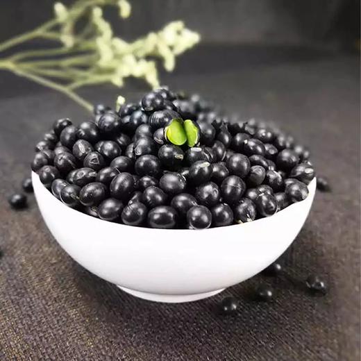 菩提树有机黑豆绿蕊醋泡黑豆浆粗粮早餐粥青仁非即食干货320g 商品图1