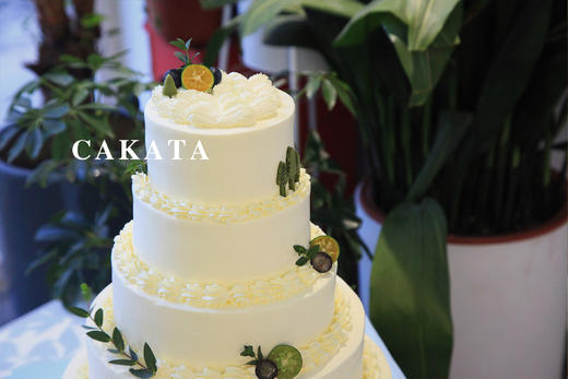 10磅定制款大蛋糕丨蛋糕面可更改 商品图7