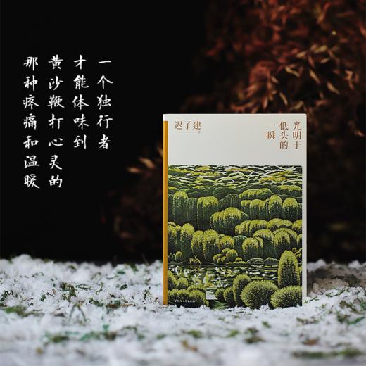 迟子建散文典藏 商品图4