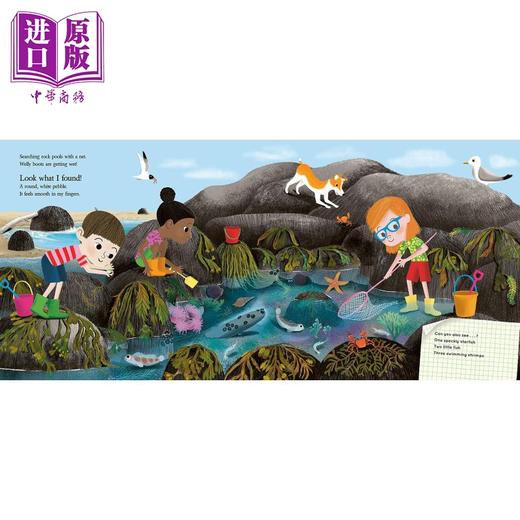 【中商原版】Look What I Found 大自然动植物故事绘本3册套装 Woods森林 Farm农场 Seaside海边 英文原版 进口图书 儿童绘本 商品图3