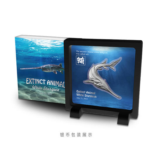 【法定货币】2023年灭绝动物系列·白鲟异形仿古纪念币 商品图8