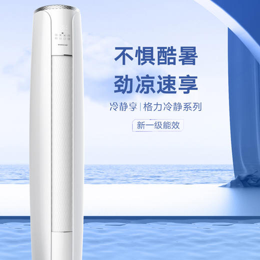 【拍定金享绿色节能补贴  云闪付到手价7199元】格力冷静享 新一级能效 变频冷暖自清洁 客厅家用格力空调立式柜机 2匹 商品图6