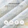 英氏-寝具类（春）G3林丝麻薄被英氏白F 商品缩略图3