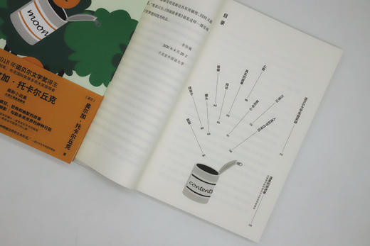 怪诞故事集     奥尔加·托卡尔丘克 商品图5