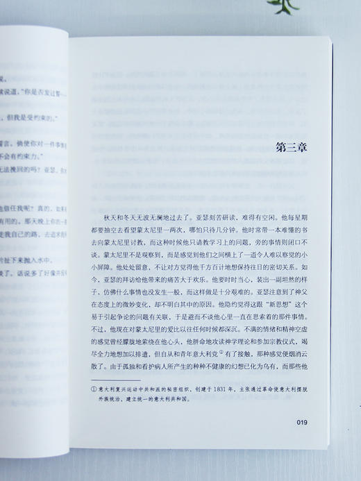 牛虻 商品图3