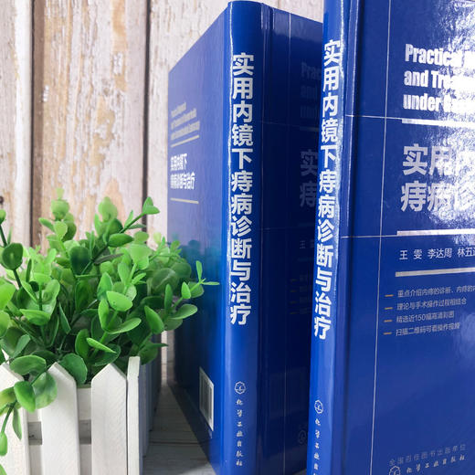 实用内镜下痔病诊断与治1疗 商品图4