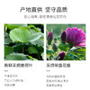 玫澜有机玫瑰荷叶茶 养身花草茶冲泡食用搭配礼盒 商品缩略图6