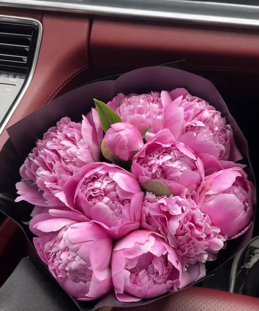 【爱你如初】芍药 - 蓝富士 桃粉色 10枝/扎 商品图0