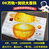 DK知识大百科+DK万物大百科 套装2册任选 商品缩略图3