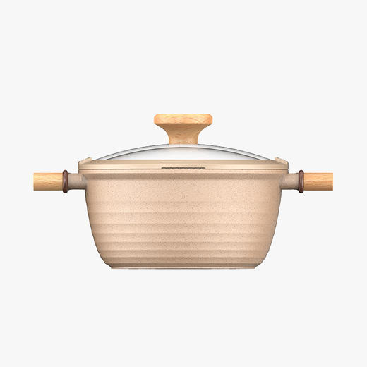 悦味 元麦升级款陶土多功能汤煮蒸锅22cm（3.4L） [福利品] 商品图0