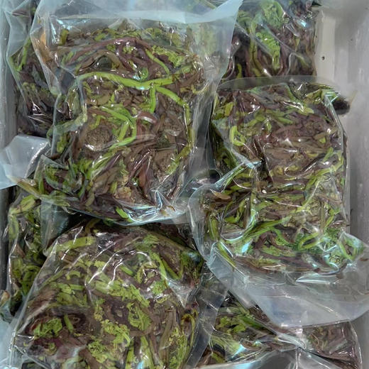 동북기름고비东北蔬菜猴腿500g 商品图1