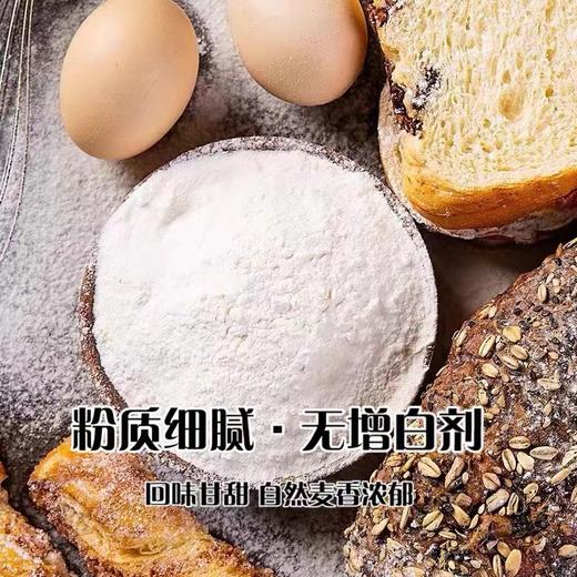 日本日清山茶花高筋面粉1斤分装 商品图3