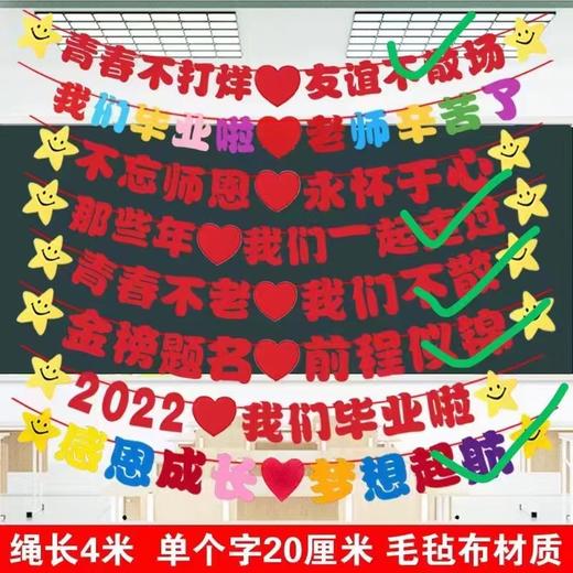 毕业季装饰教室毕业班毕业典礼派对感恩教师装饰装扮拉旗语句拉花拉条挂饰吊旗舞台背景道具4米 商品图0