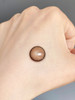 E-lensstyle 半年抛 撒哈拉之眼棕 直径14.5mm着色13.8mm 商品缩略图14
