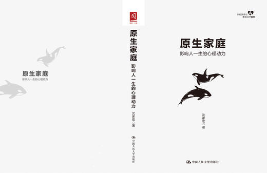 原生家庭：影响人一生的心理动力 商品图2