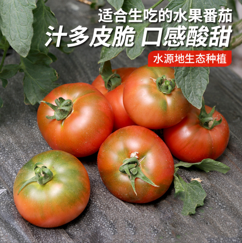 【包邮】农家水果番茄  西红柿味浓  汁多皮脆  口感酸甜  水果西红柿  3斤