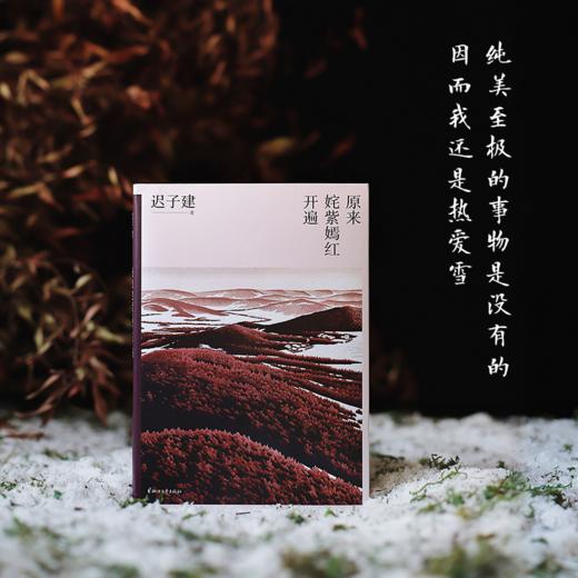 迟子建散文典藏 商品图5