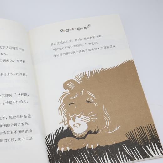 无敌侦探普雷舍丝（全4册） 商品图4