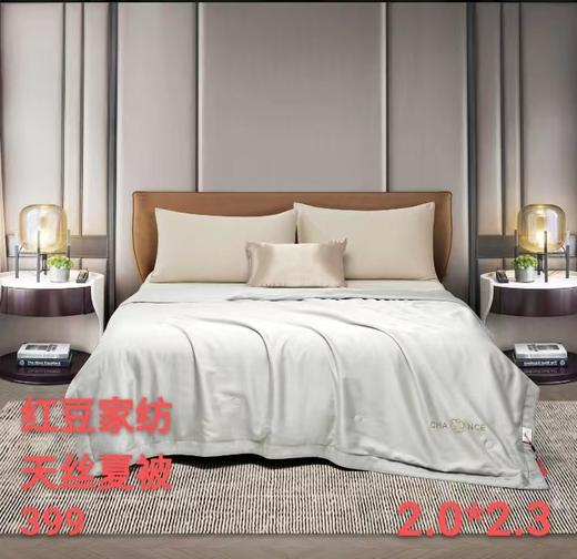 红豆家纺天丝夏被【2.0*2.3】 商品图0