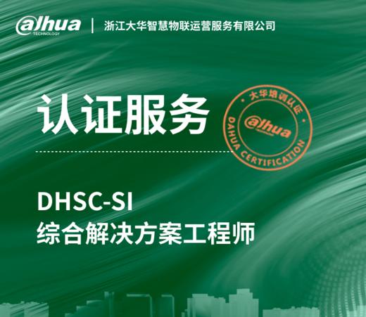 DHSC-SI 综合解决方案工程师考试服务 商品图0