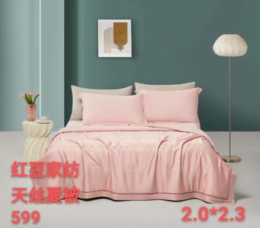 红豆家纺天丝夏被【2.0*2.3】 商品图0