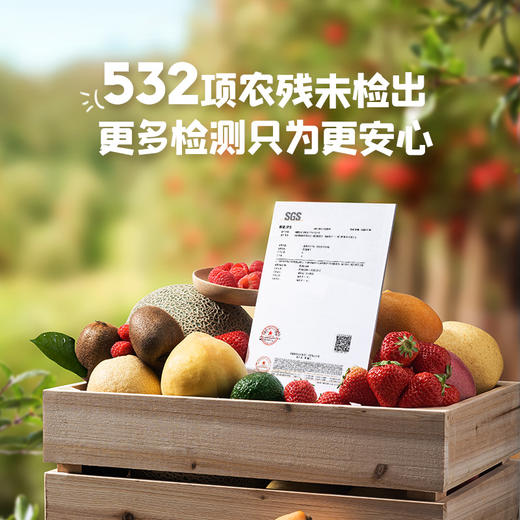 【忆小口】水果多多溶豆18g（4袋） 商品图3