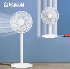 先锋(Singfun)追风系列家用电风扇落地扇流通空气循环扇台地两用扇小米白电风扇落地扇DLD-D17